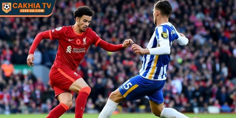 Nhận Định Liverpool Vs Brighton & Hove Albion Ngày 15/02/2026 - FA CUP 3 Các kèo thơm cho fan hâm mộ của Liverpool vs Brighton & Hove Albion