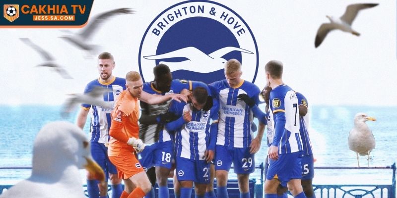Nhận Định Liverpool Vs Brighton & Hove Albion Ngày 15/02/2026 - FA CUP 2 Tình hình của Brighton